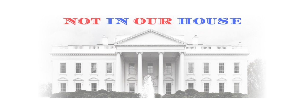 Patrick Earvolino banner