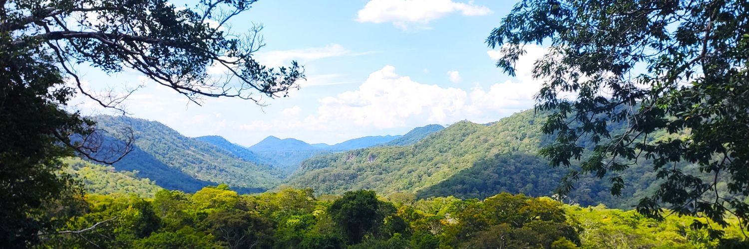 toppinha's profile banner image