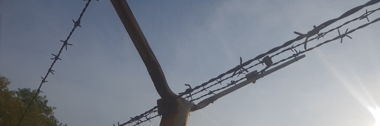 thestachoo's profile banner image