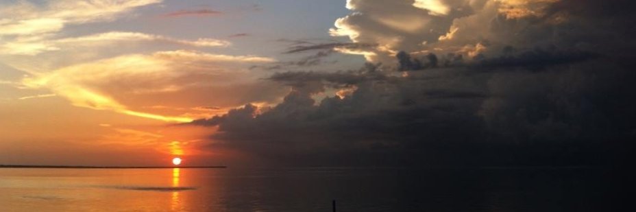 atctrice's profile banner image