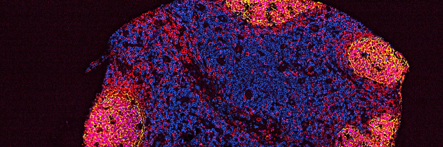 Scott_Boyd_Lab_Stanford banner