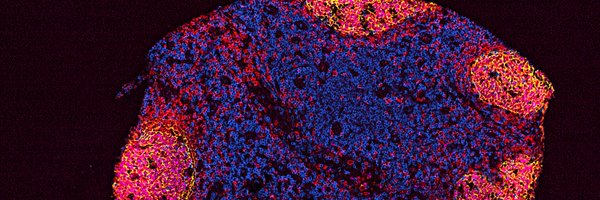 ScottBoydLab Profile Banner