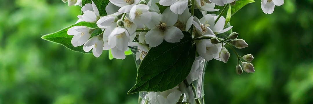 IRENE NAKASAGGA banner