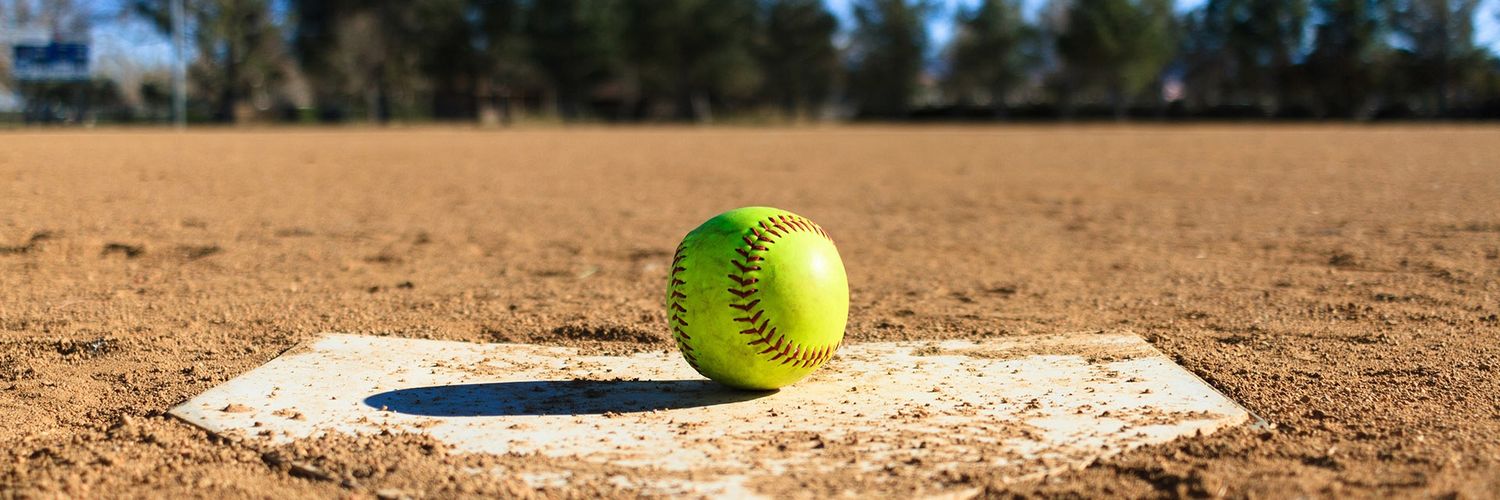 Okemos Wolves Softball banner