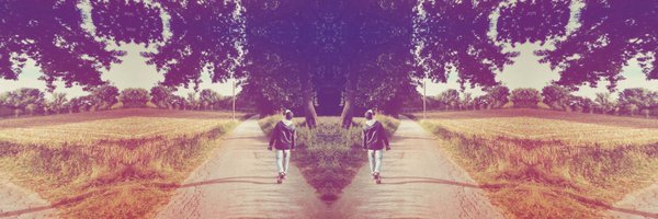 leonarddahmen Profile Banner