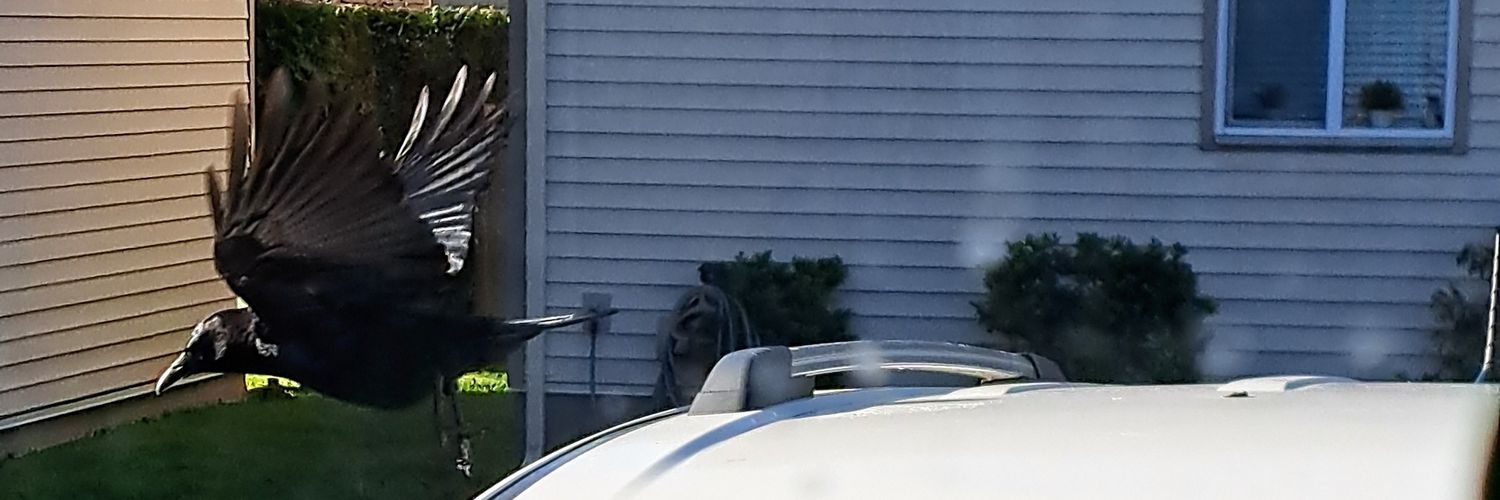 Meagra (Mac/Meags)'s banner