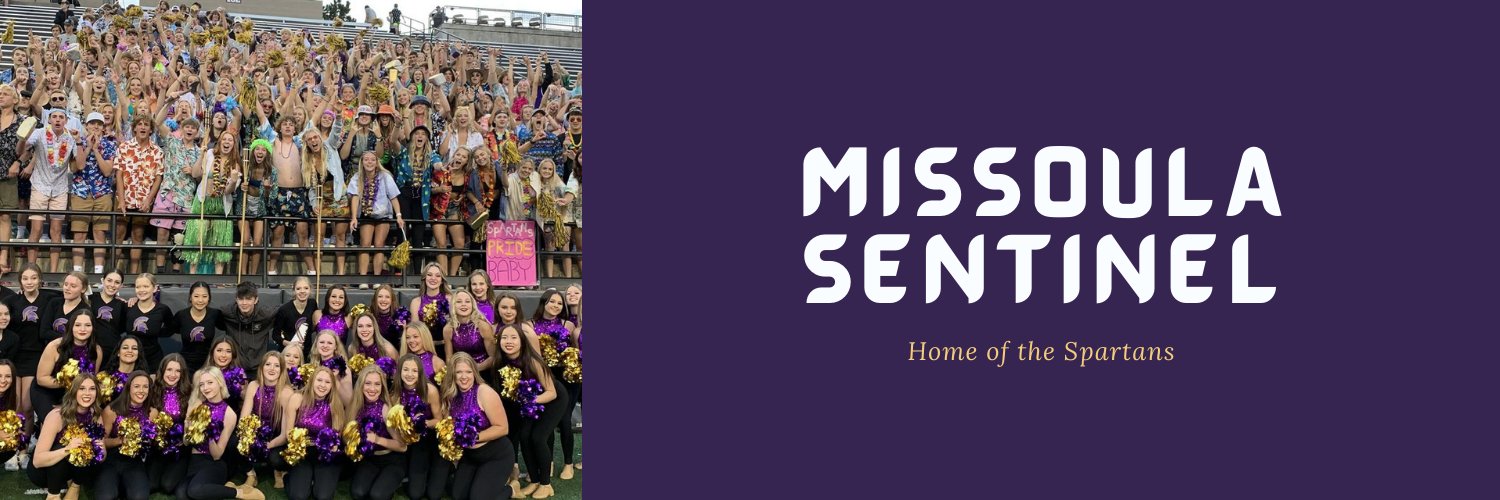 Sentinel High School Athletics banner