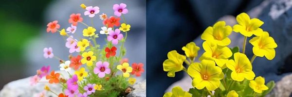 dcb461106 Profile Banner