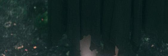 Lila Linz banner