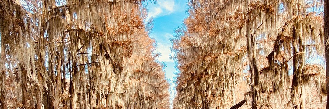 Young Engineer banner