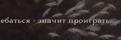госпожа море's banner