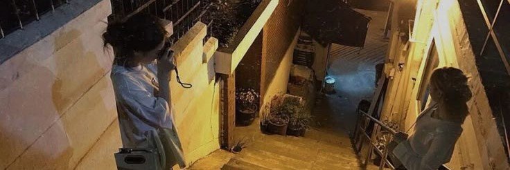 yutasemline's profile banner image