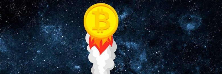 Tropical_Crypto banner