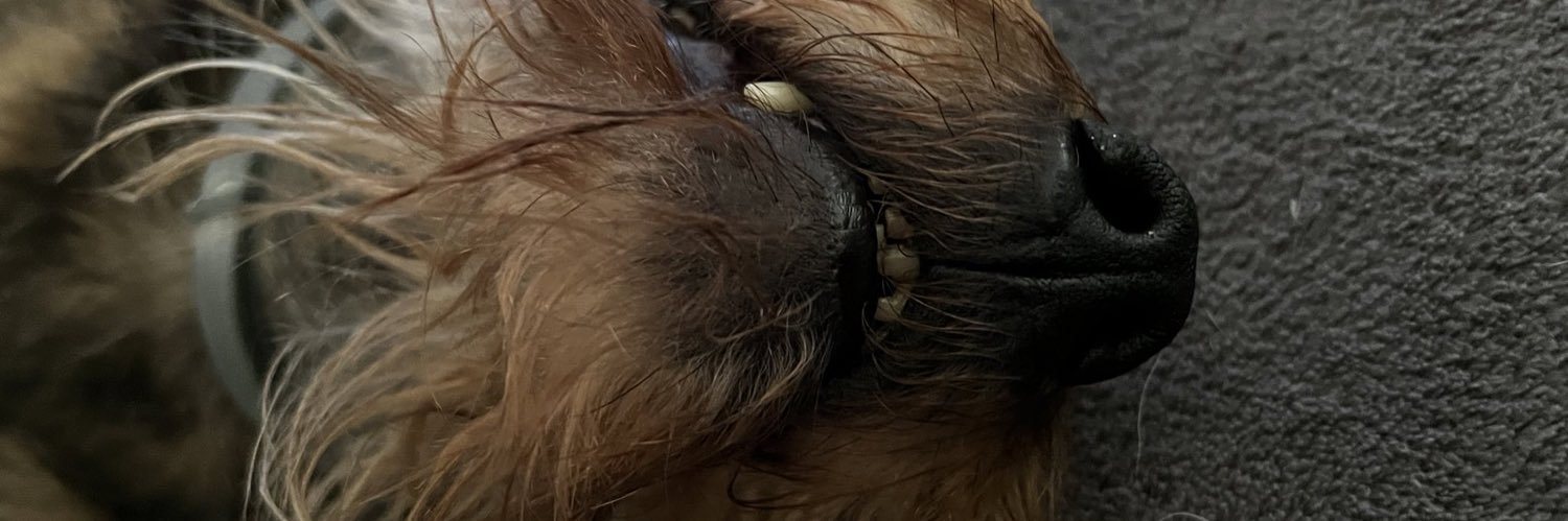 MoritzBFD's profile banner image