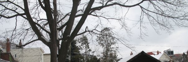 BCLaraby's profile banner image