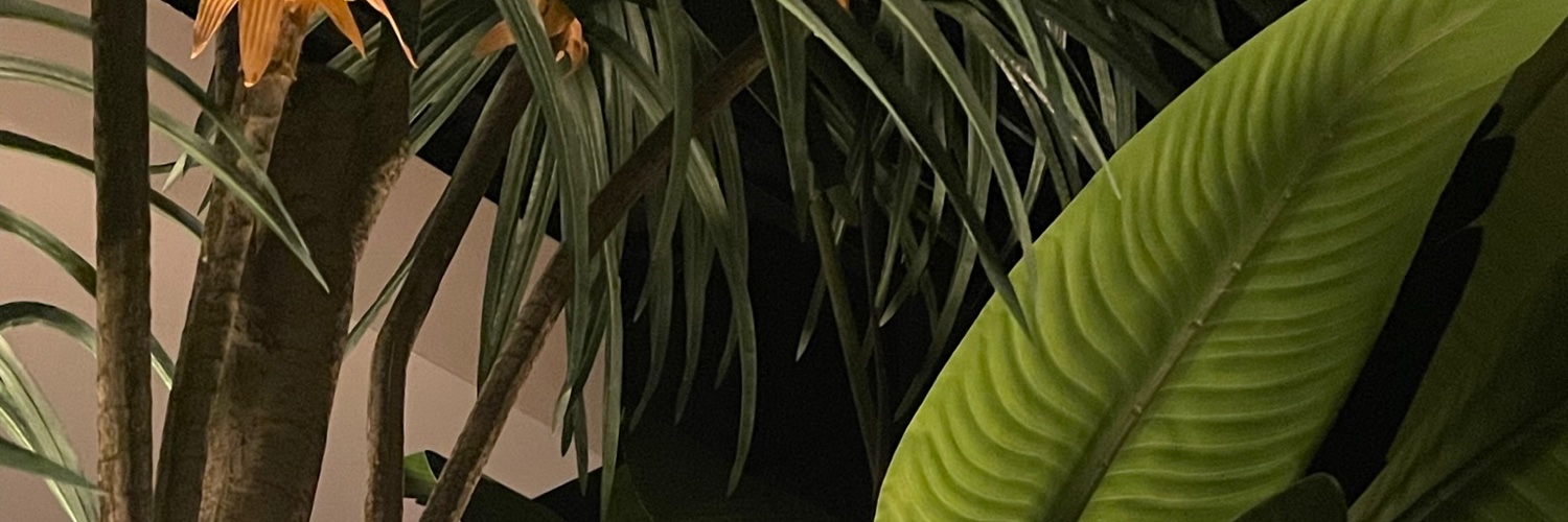amayajohnso's profile banner image