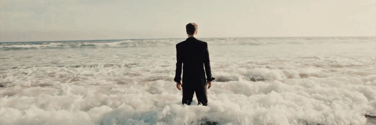 ask the birds ✨ banner