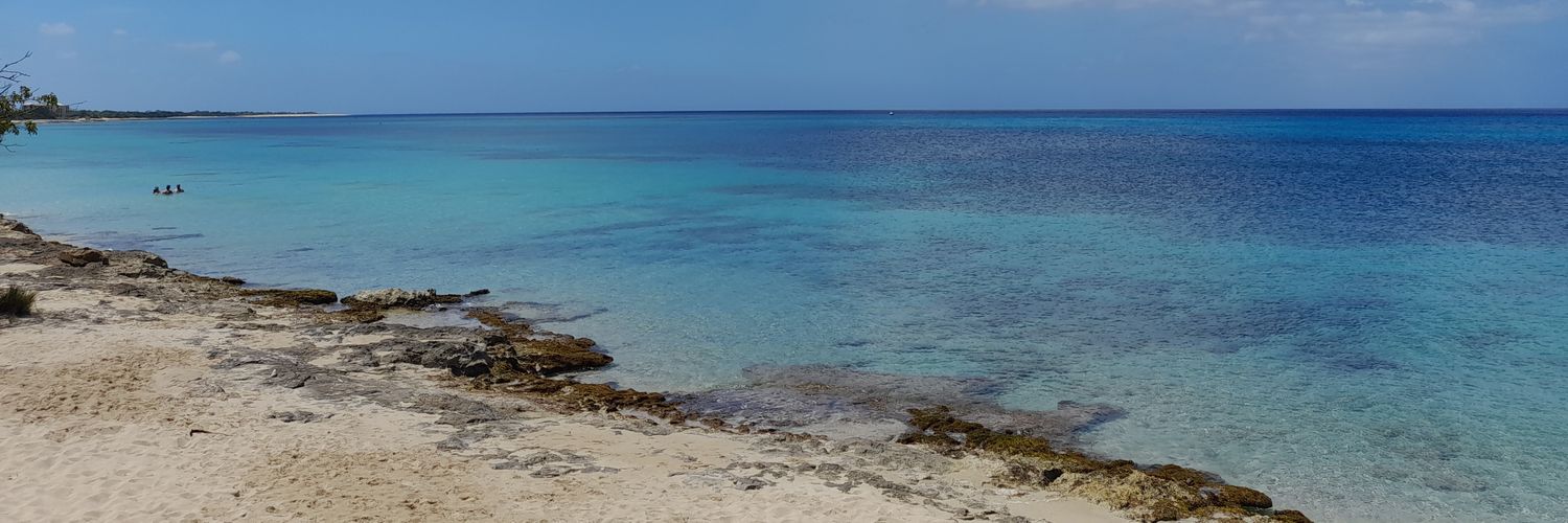 Margaret Gibson banner