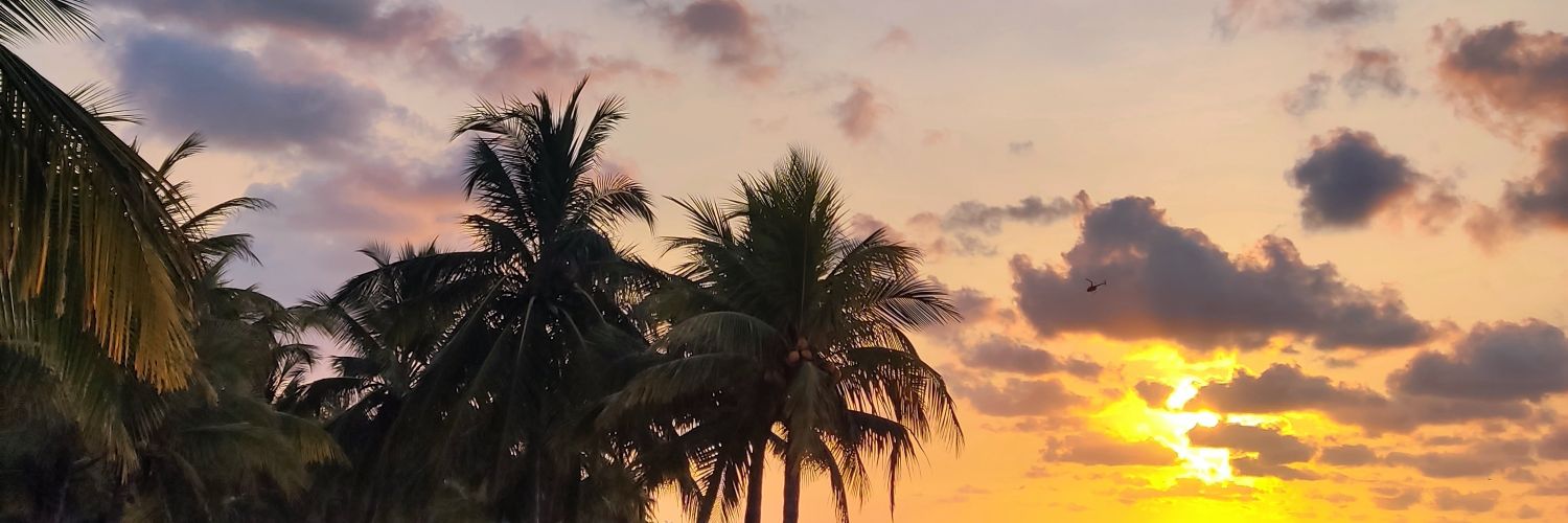 AndresDimee's profile banner image