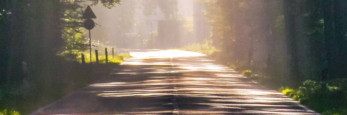 XLeadNotFollowX's profile banner image