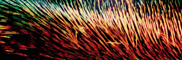 nikbeeson Profile Banner