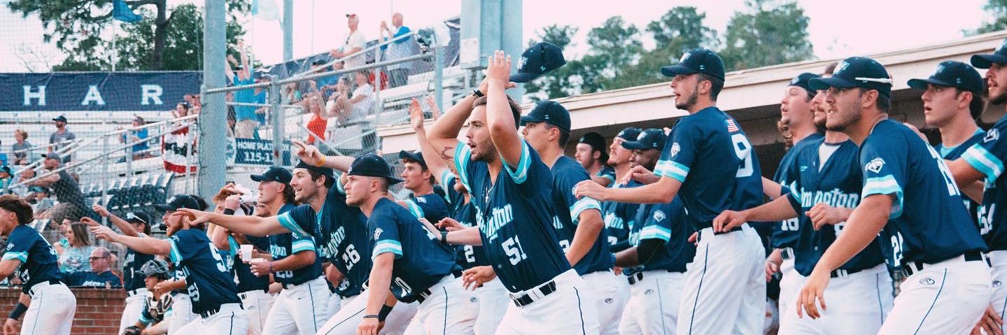 Wilmington Sharks banner