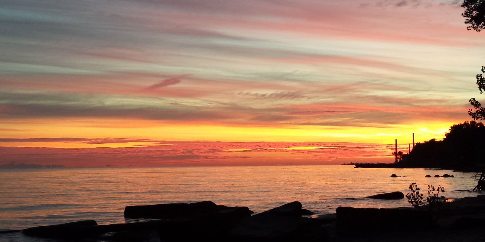 kitten__queen's profile banner image