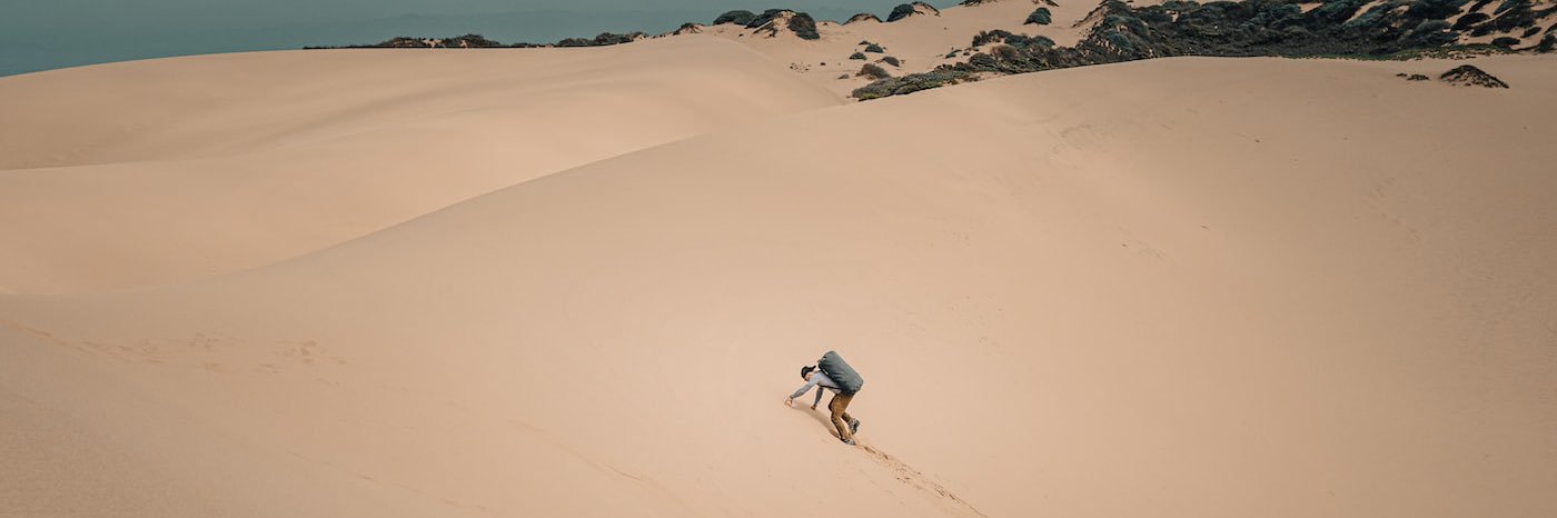 Sycho 进化 banner