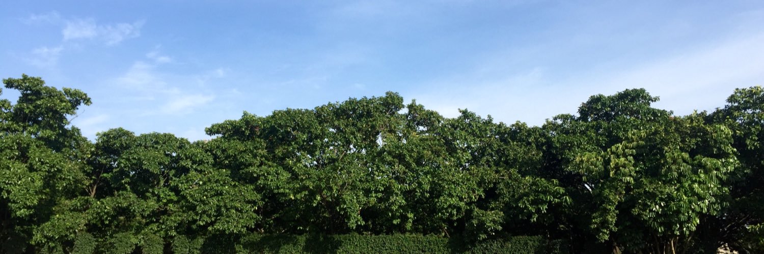 netranjeeb lenka banner