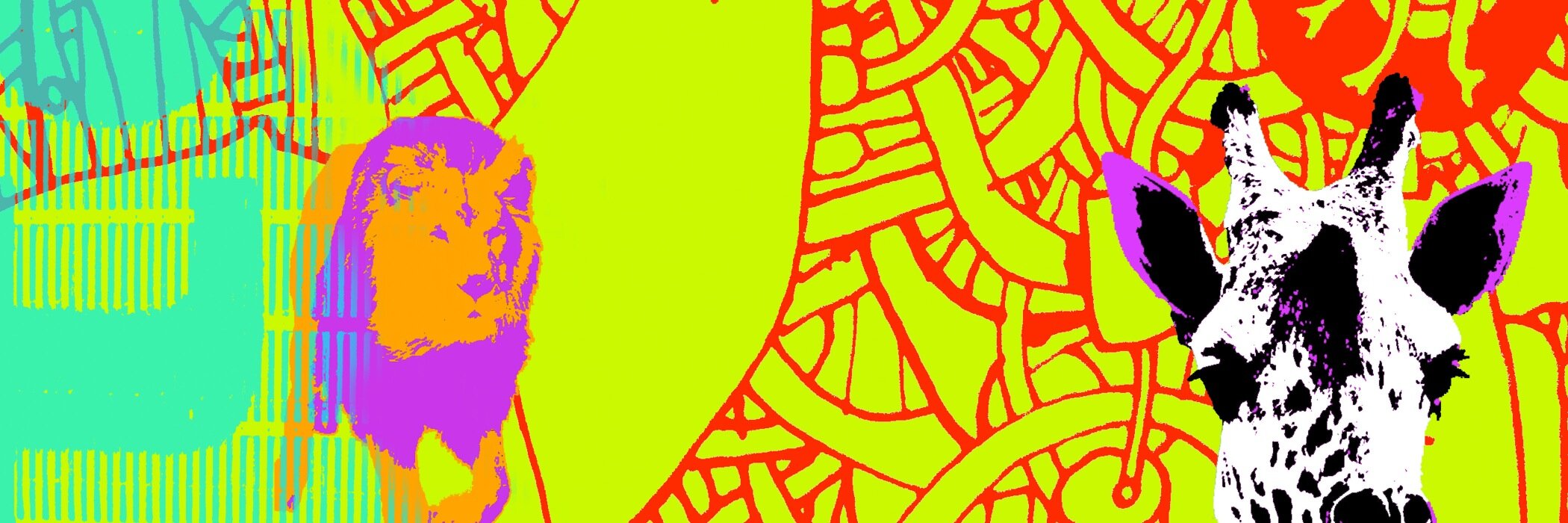CourtneySimons's profile banner image