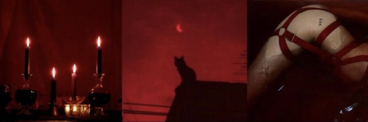 🌹 𝓒𝓱𝓵𝓸𝓮 🌹 🚫No DM🚫 banner