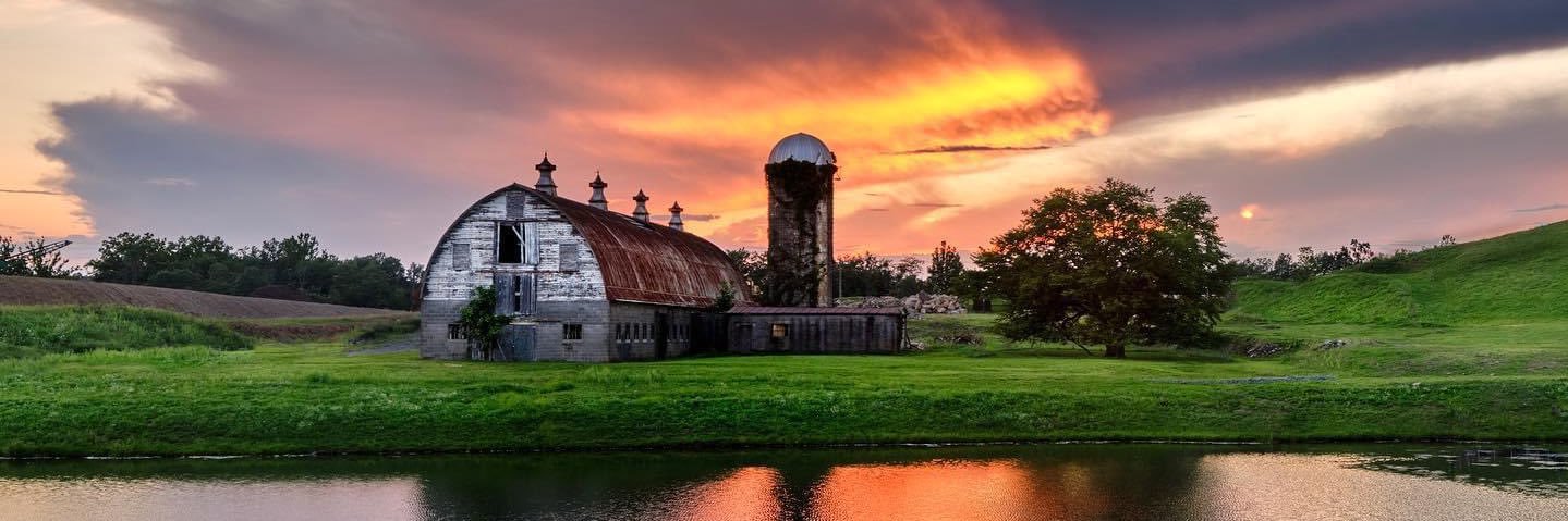 Courtney Brown Day banner