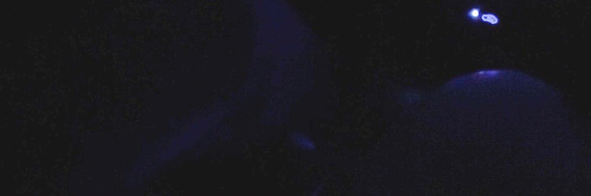 KaitleyB's profile banner image