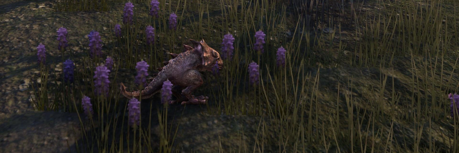 SimplySeaPig's profile banner image