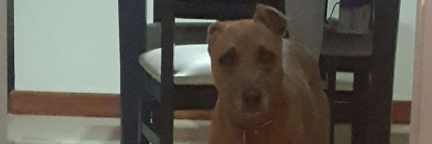 MontesDavidOK's profile banner image