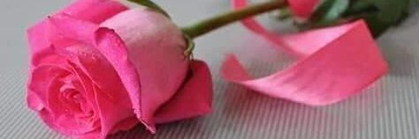 Mostafa44561311's profile banner image