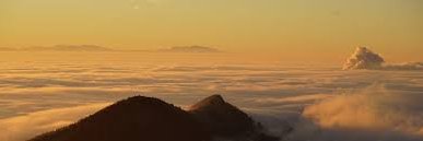 Remedios Rubin banner