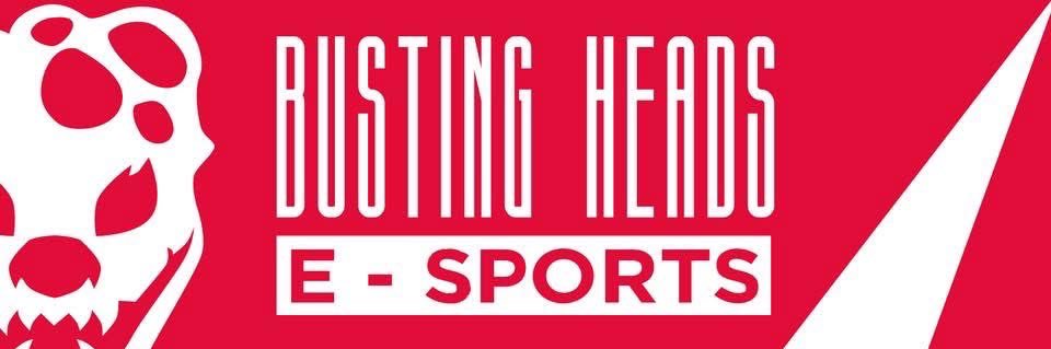 Busting Heads banner
