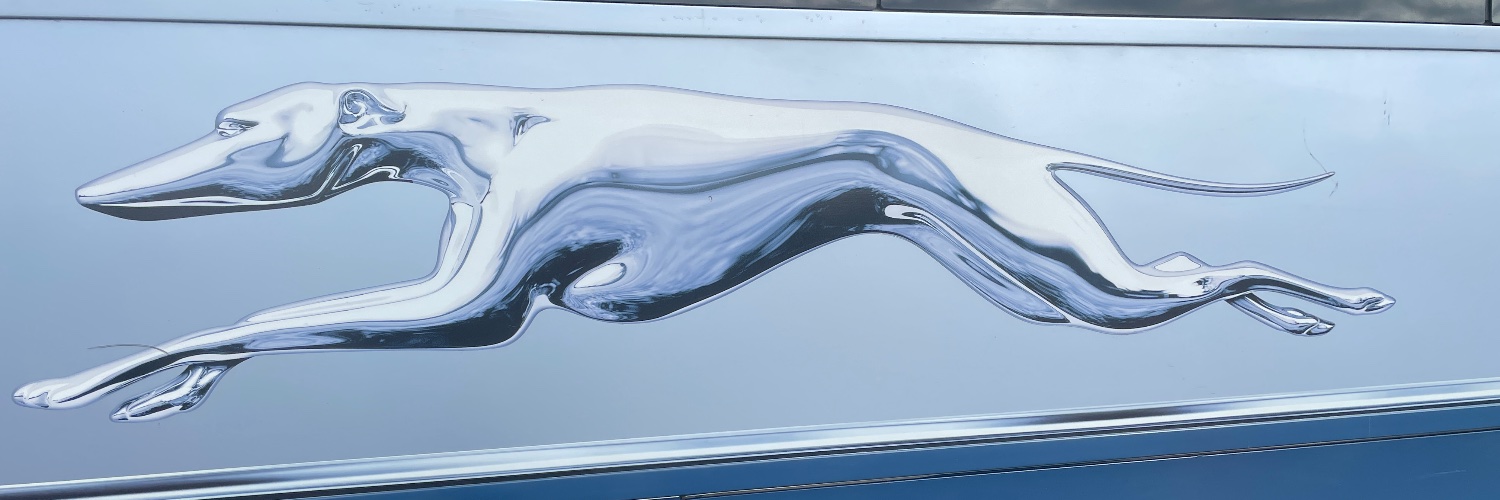 sgunn's profile banner image