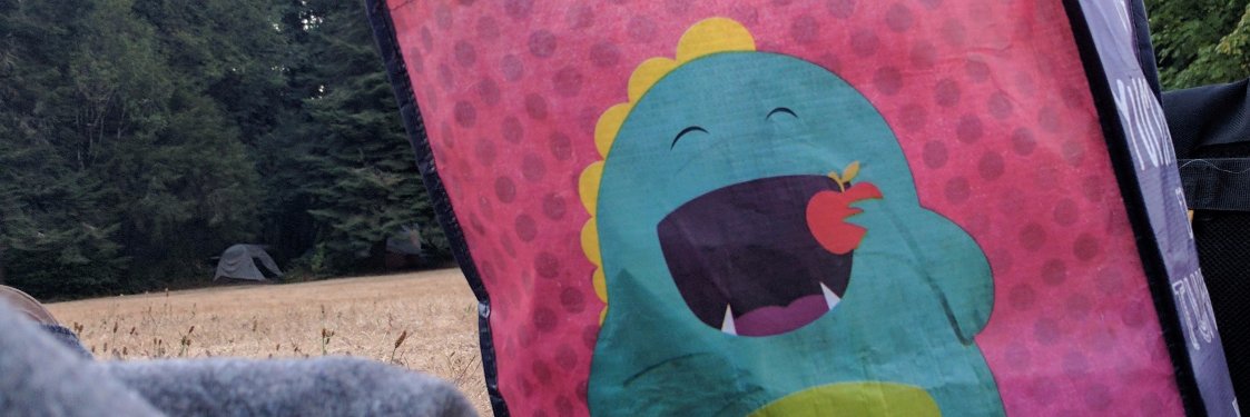 Saara Kamppari-Miller banner