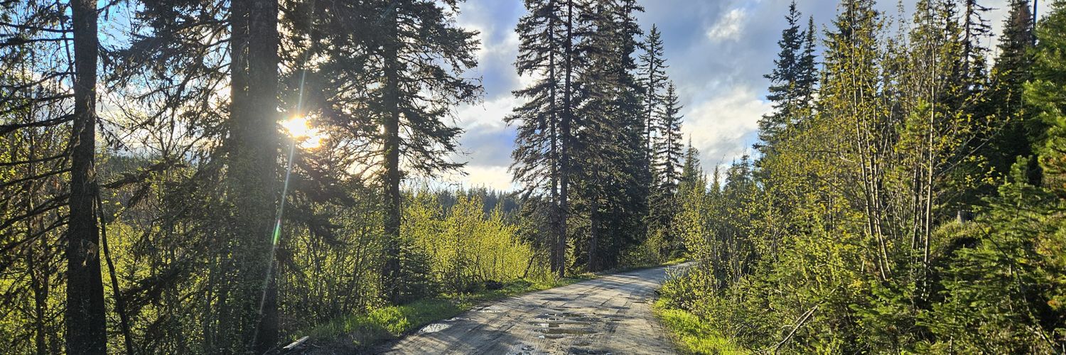 Nicole from BC🇨🇦 banner