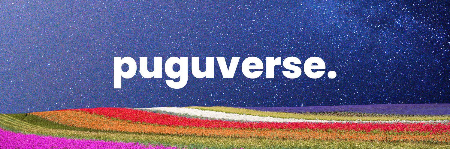 Puguverse banner