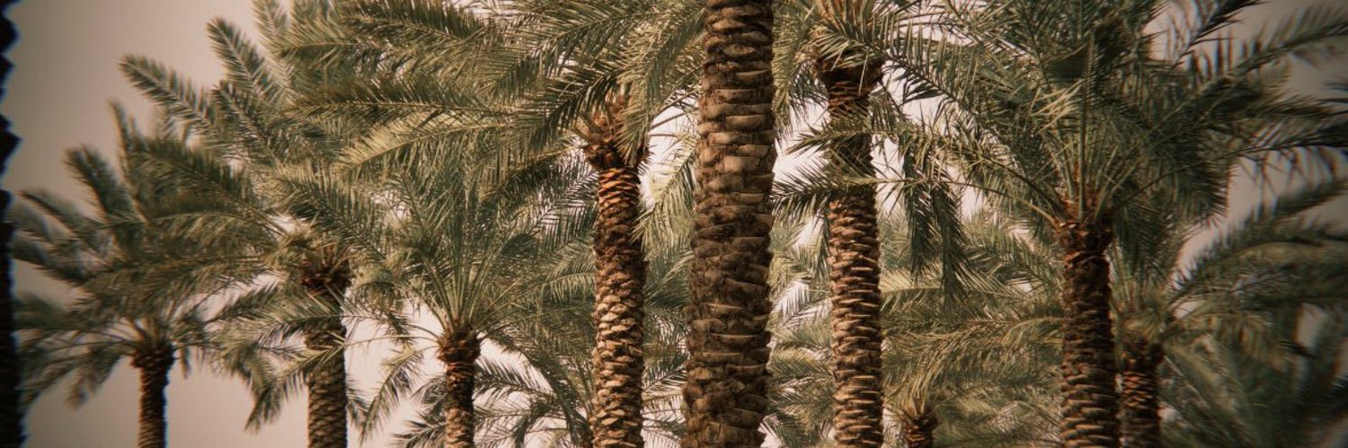 سَـارَّة banner