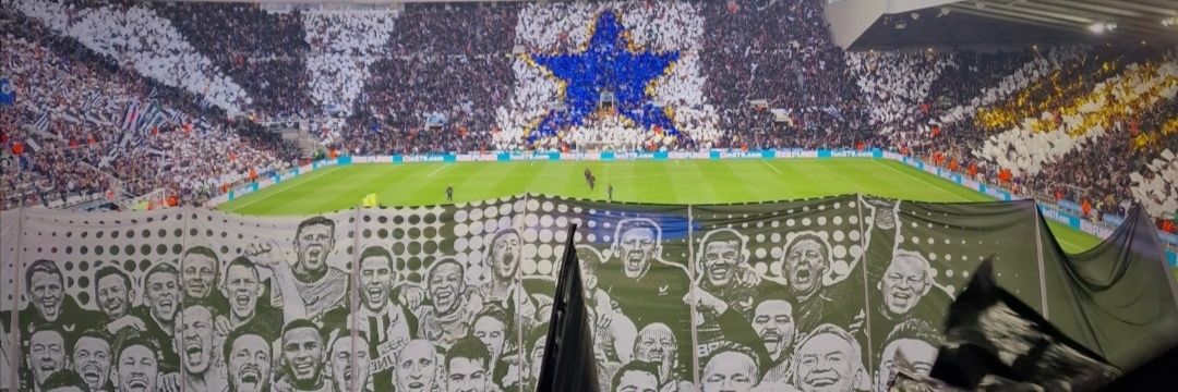 DomWardle94's profile banner image