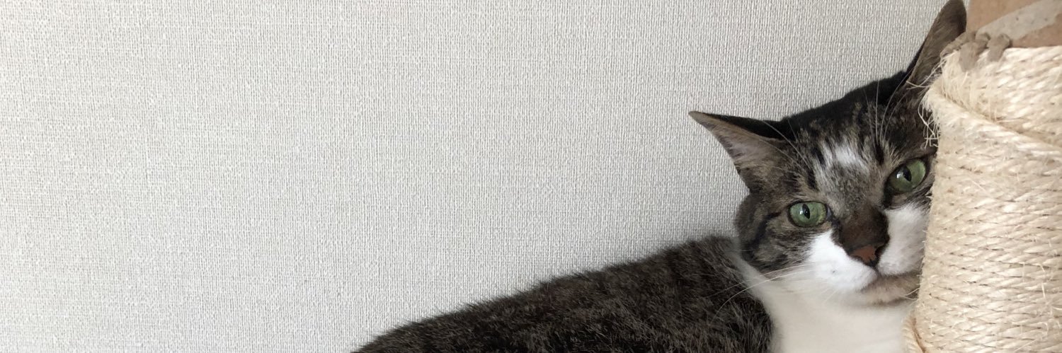 erinofu's profile banner image