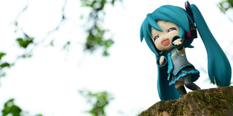 seiparadeisfan's profile banner image