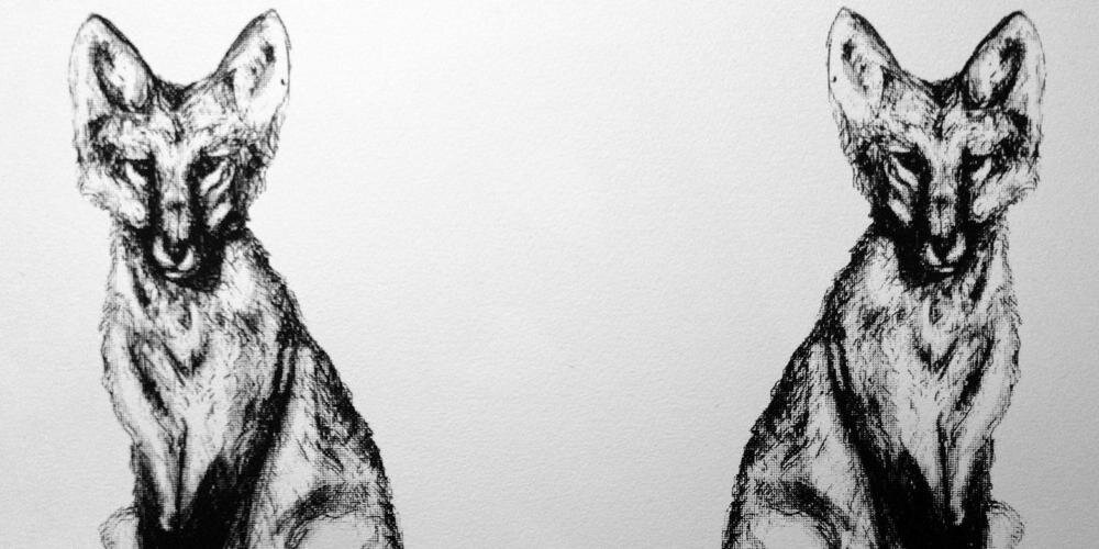 debipbip's profile banner image