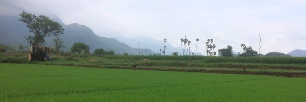 ananthsenthivel Profile Banner