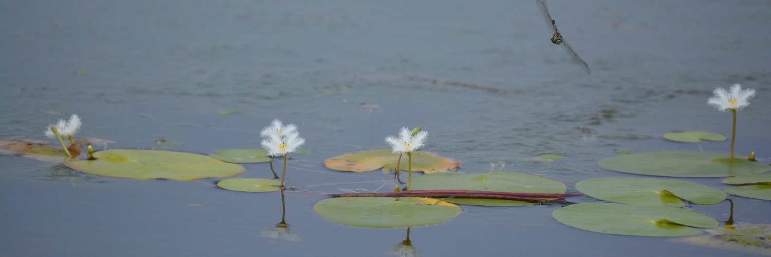 sgwagh's profile banner image
