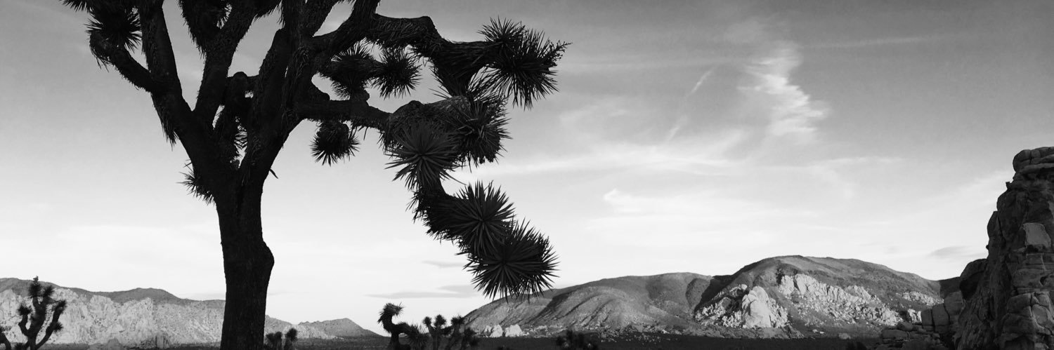 gordanajosovic's profile banner image
